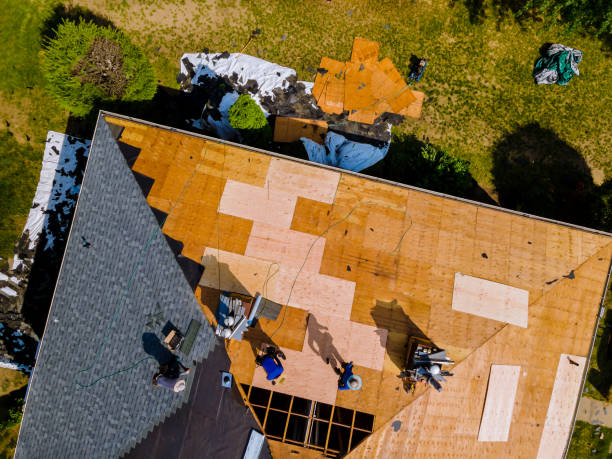 Best Metal Roofing Contractor  in Forestde, AL