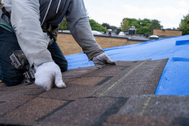 Best Slate Roofing Contractor  in Forestde, AL