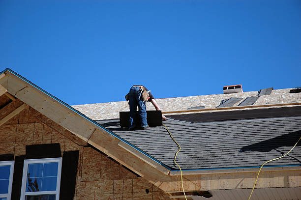 Best Roof Leak Repair  in Forestde, AL