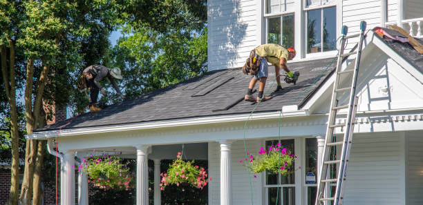Best Roof Leak Repair  in Forestde, AL