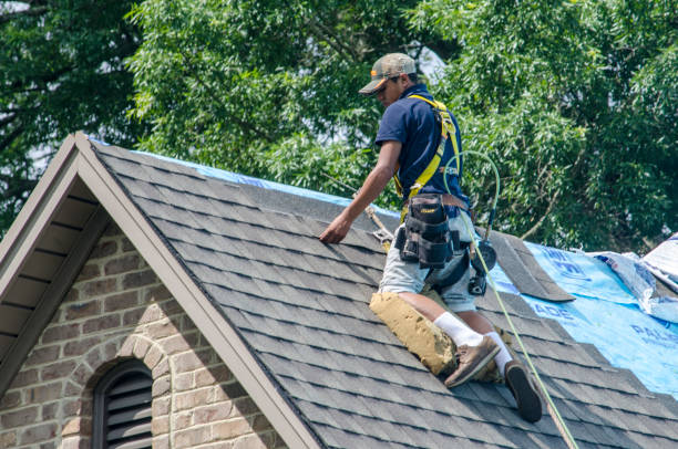 Best Roof Repair Services  in Forestde, AL